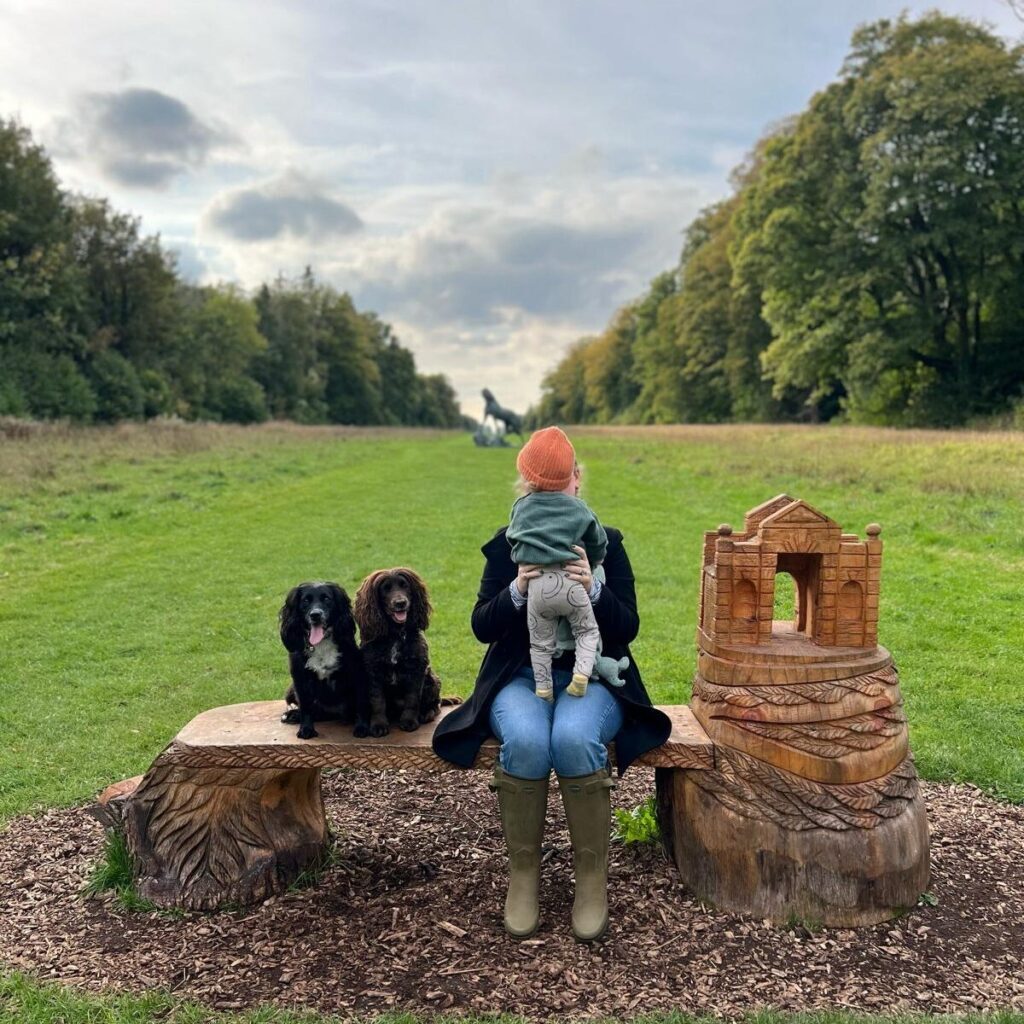 bench in cirencester park with two spaniels sitting on and lady with toddler facing away from the camera