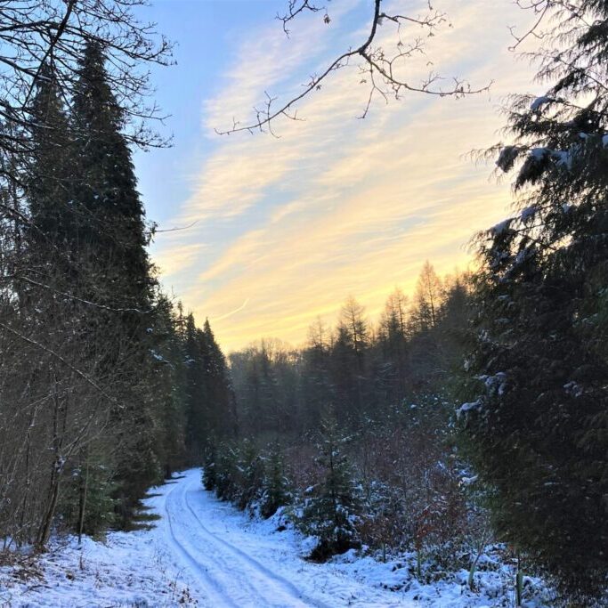 Hailey Wood route