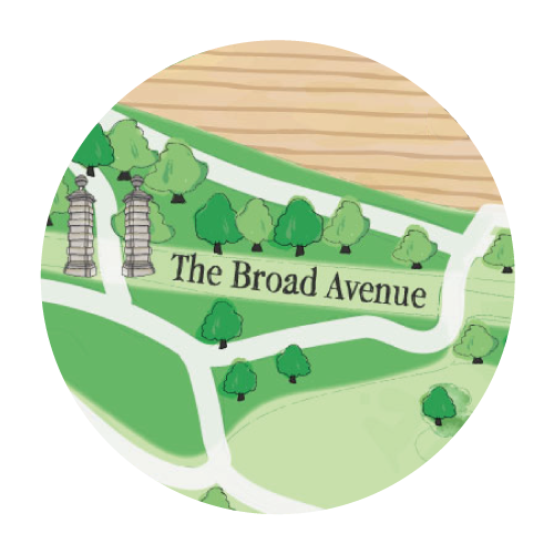 The-Broad-Avenue-Close-Up