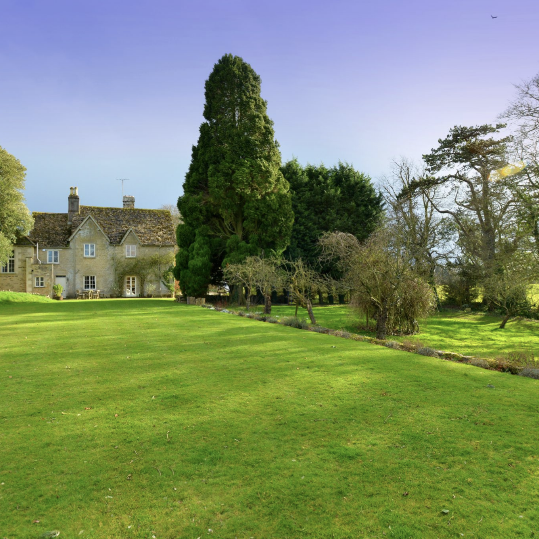 property garden